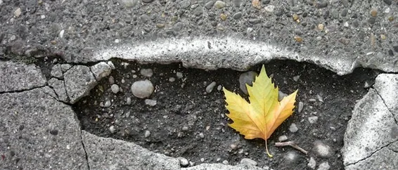 Northampton — pothole, close