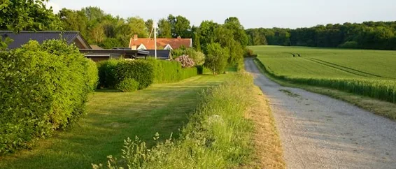 Towcester — country lane with hedges