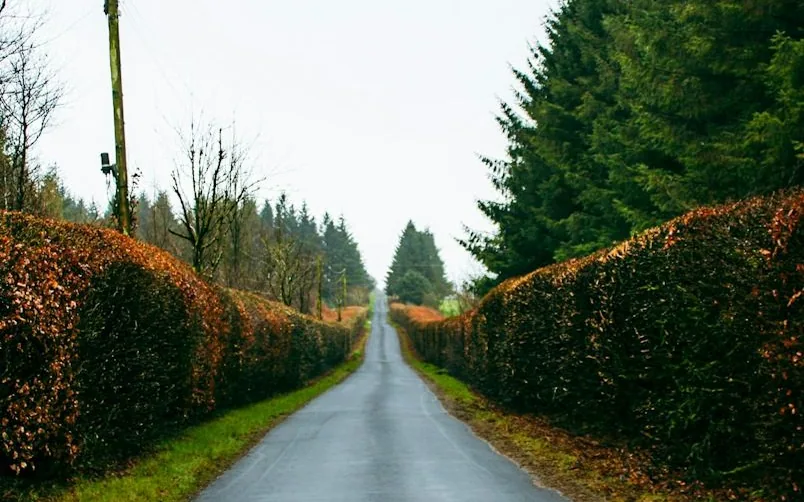 Towcester — local street or road